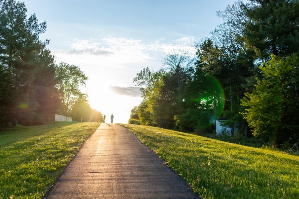 Cost of Asphalt Pathway Installation in Punta Gorda