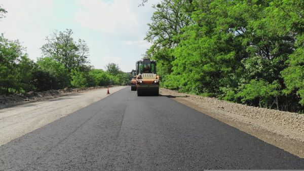 Cost of Custom Asphalt Paving in Punta Gorda