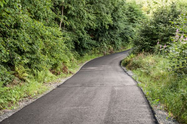 Asphalt Driveway Replacement in Punta Gorda