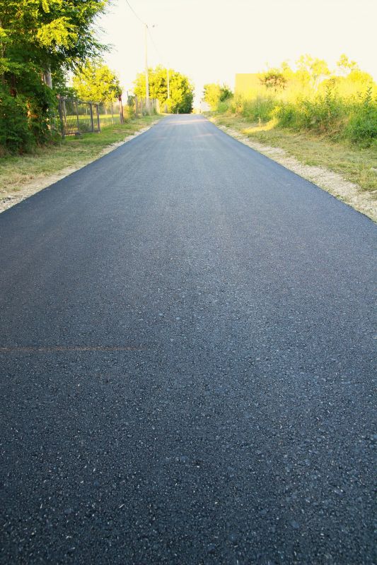 Asphalt Driveway with Decorative Borders